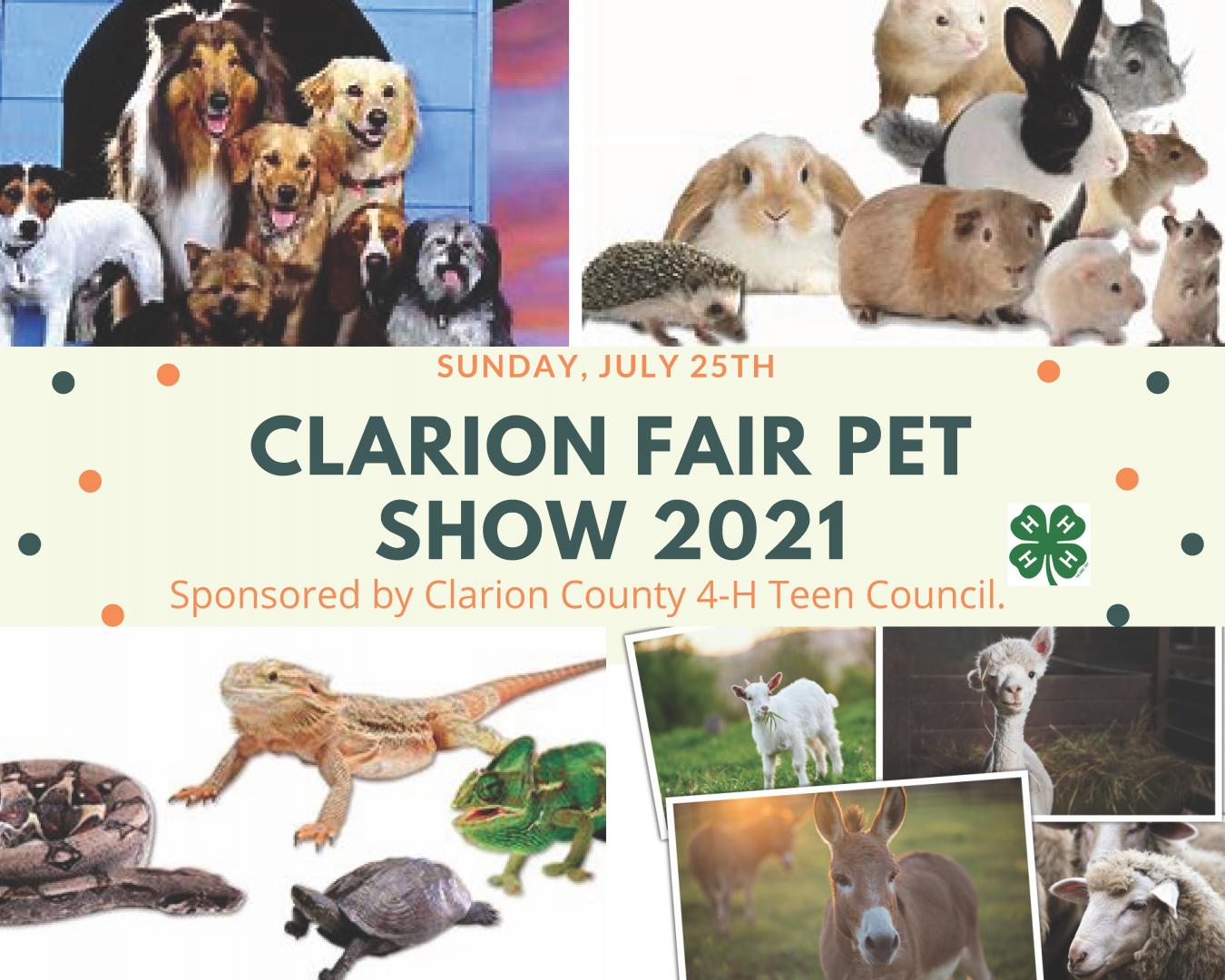 Pet Show Clarion County Fair Redbank Valley Municipal Park New